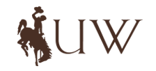 COLLEGE OF BUSINESS,UNIVERSITY OF WYOMING